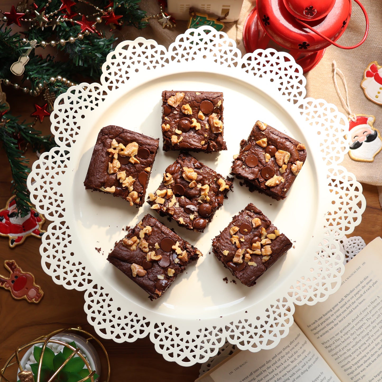 Walnut Choco-Chip Brownie